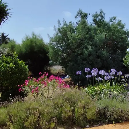 Maison A 6 Pers, Animaux Admis, Wifi - Fr-1-823-158 Noirmoutier-en-l'Île